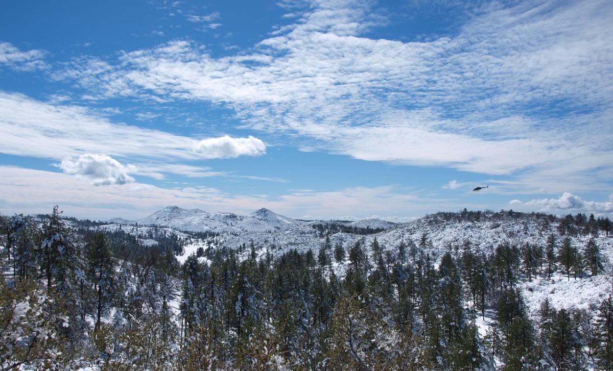 Cover image of this place Laguna Mountains