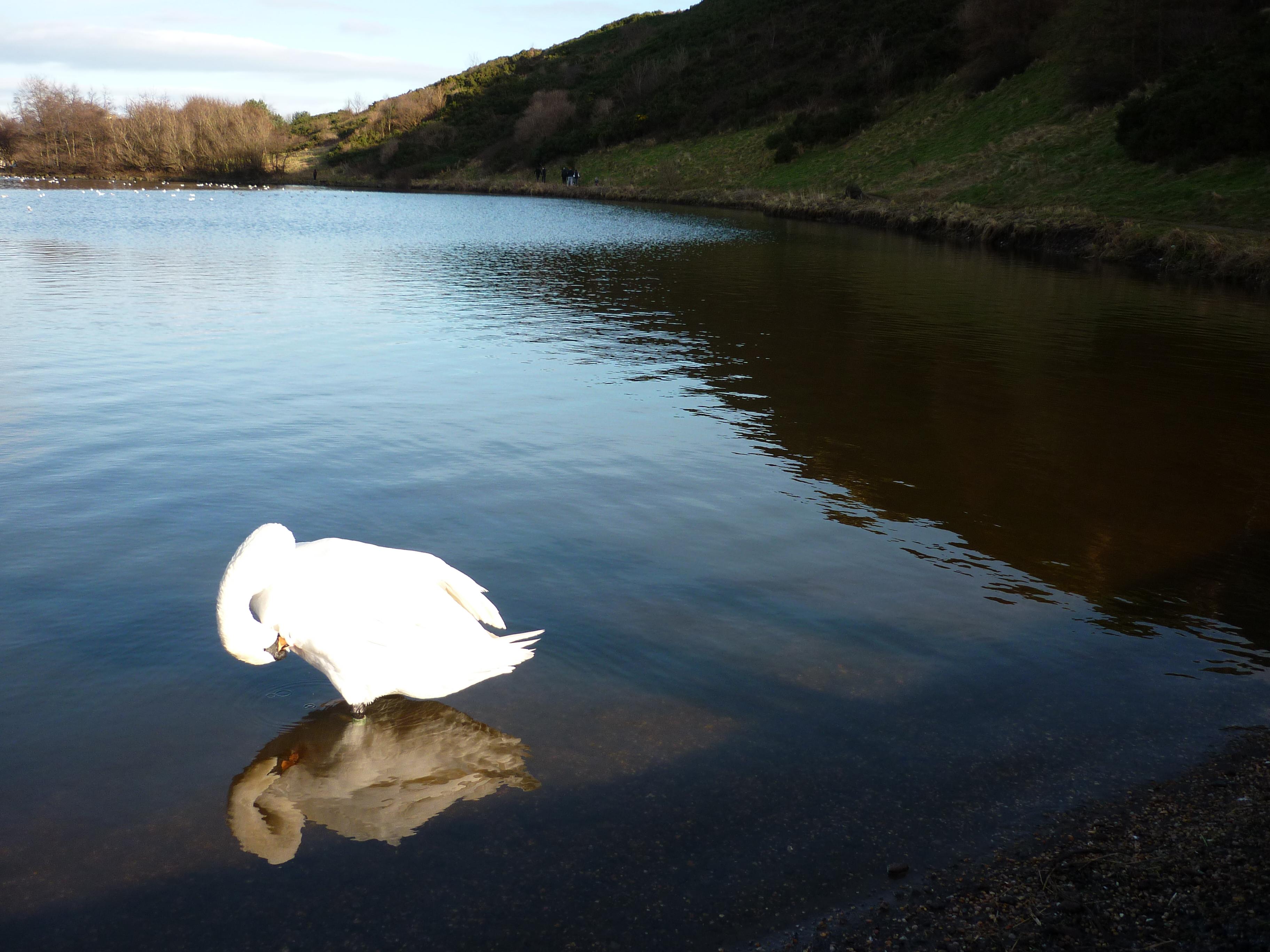 Cover image of this place Holyrood Park