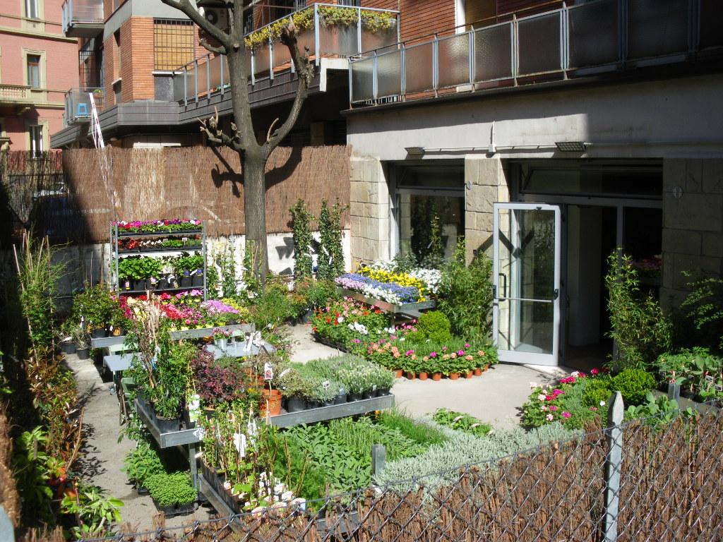 Cover image of this place Senape Vivaio Urbano