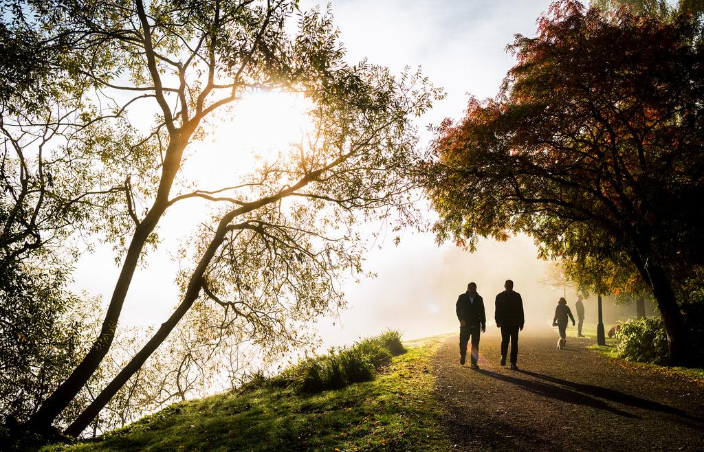 Cover image of this place Djurgården