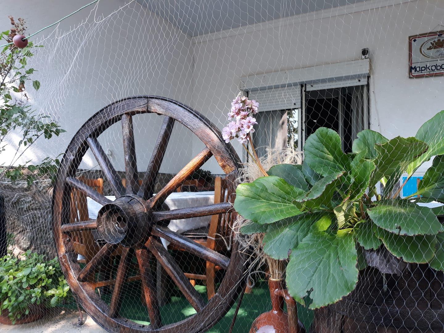 Cover image of this place Restaurant Markova Noga