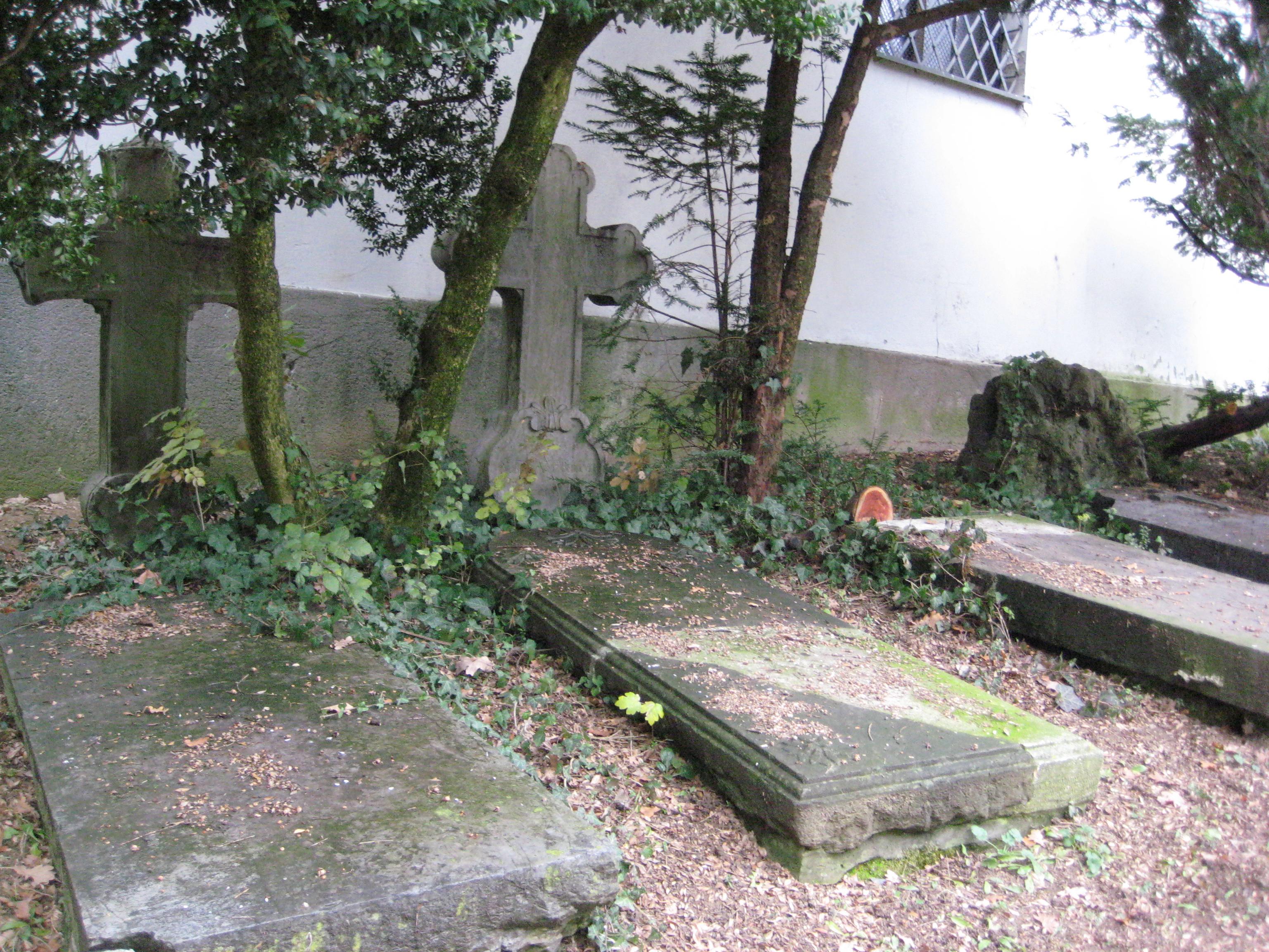 Cover image of this place Forgotten Graveyard - "Jurjevsko groblje"