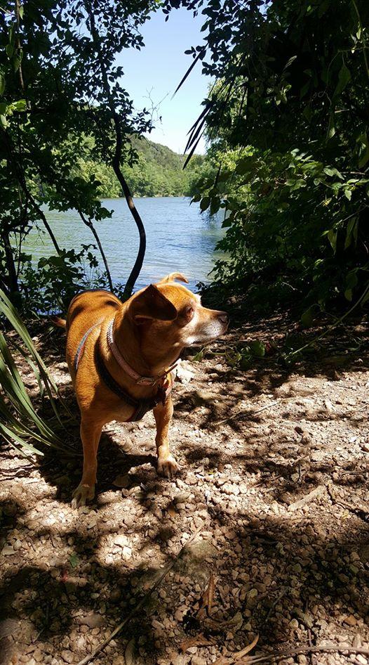Cover image of this place Red Bud Isle