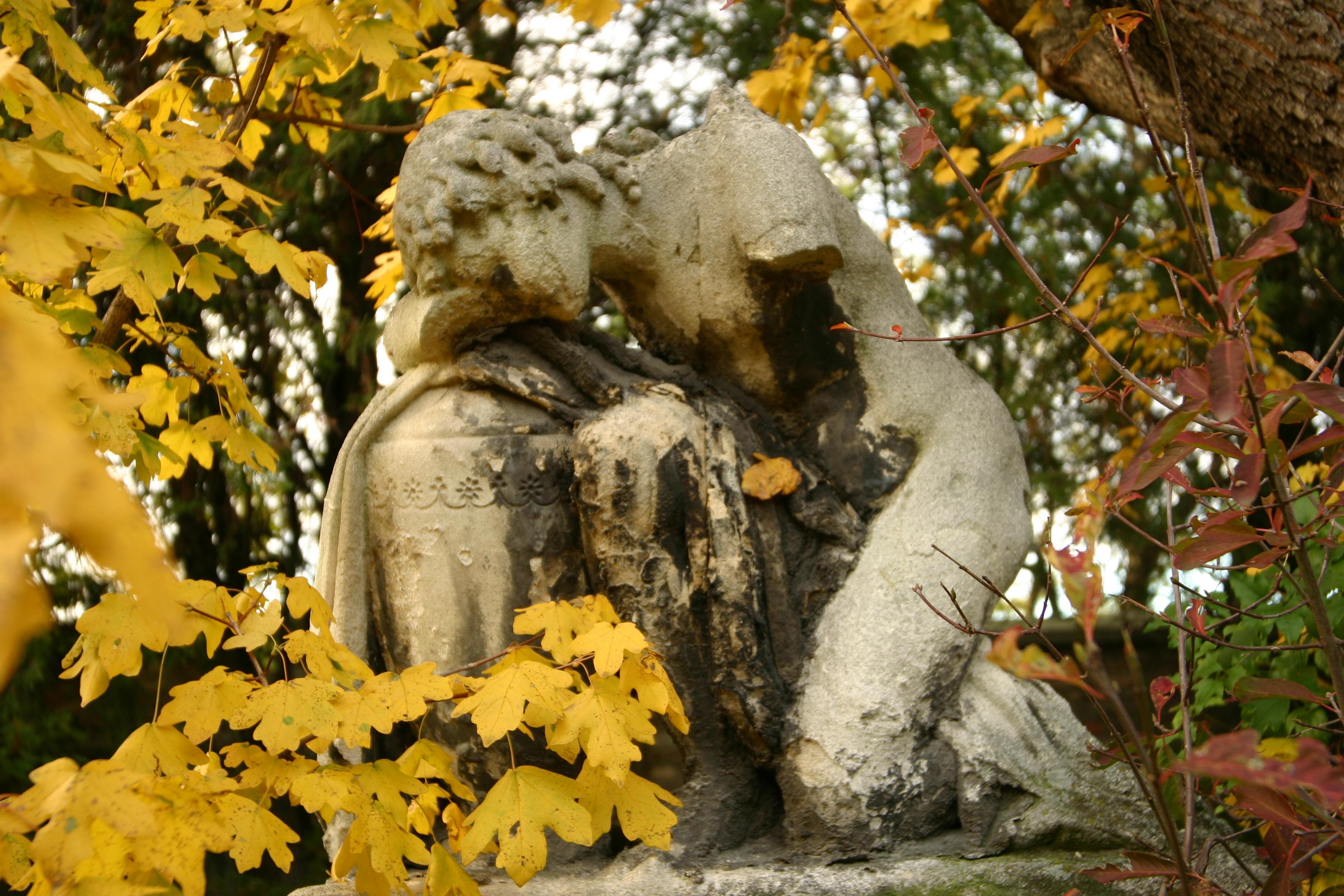Cover image of this place St. Marxer Friedhofspark