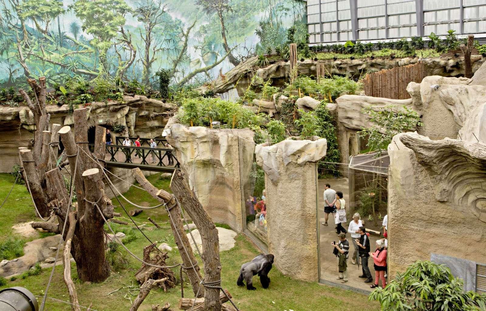 Cover image of this place Zoologischer Garten Rostock