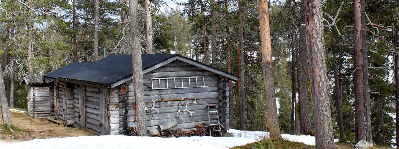 Cover image of this place Värriö's Strict Nature Reserve