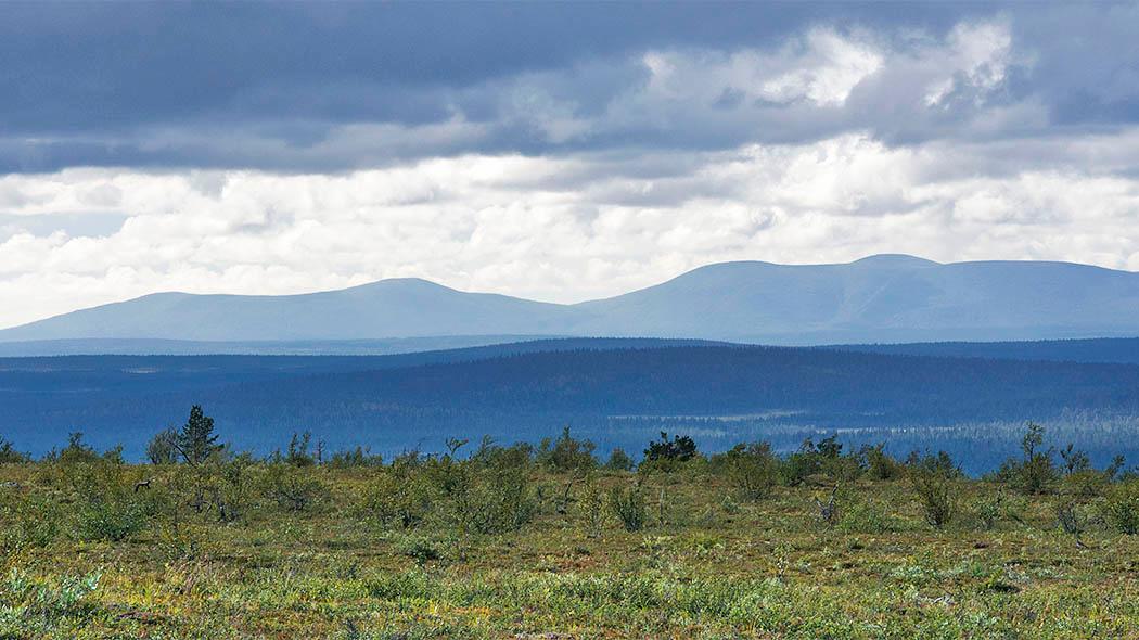 Cover image of this place Pulju's Wilderness Area