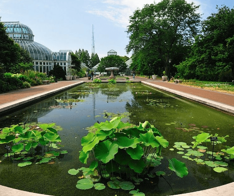 Cover image of this place Brooklyn Botanic Garden