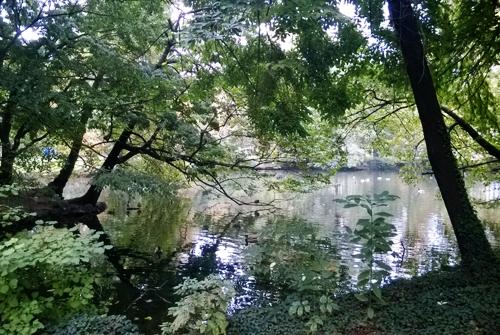 Cover image of this place Giardini Pubblici Indro Montanelli