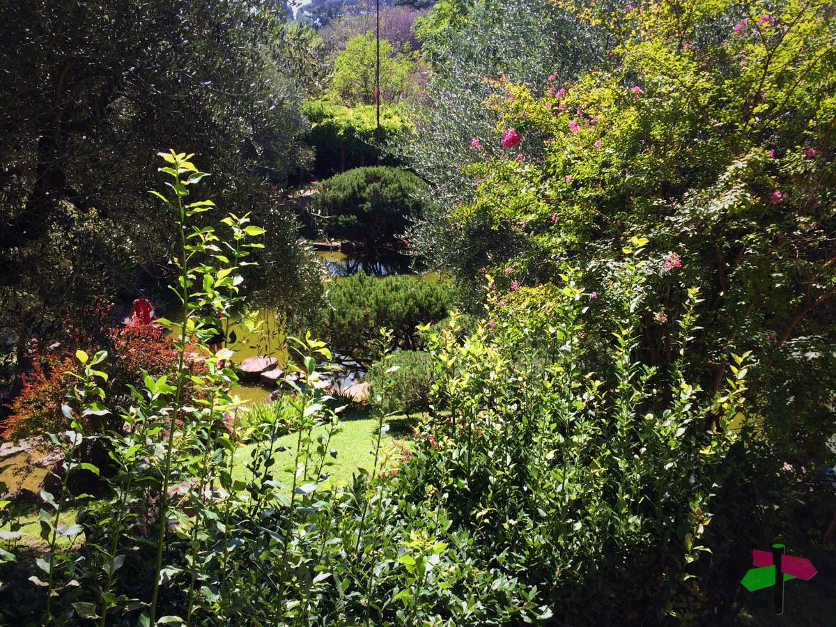 Cover image of this place The gardens of Rome's Japanese Cultural Institute