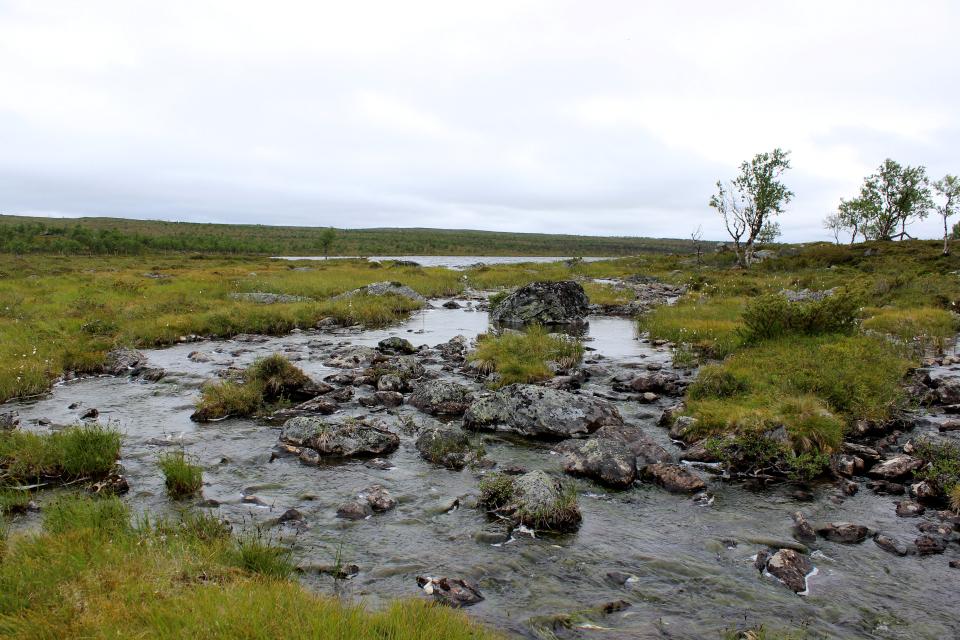 Cover image of this place Sevetti-Pulmankijärvi Hiking Trail/ 60 km