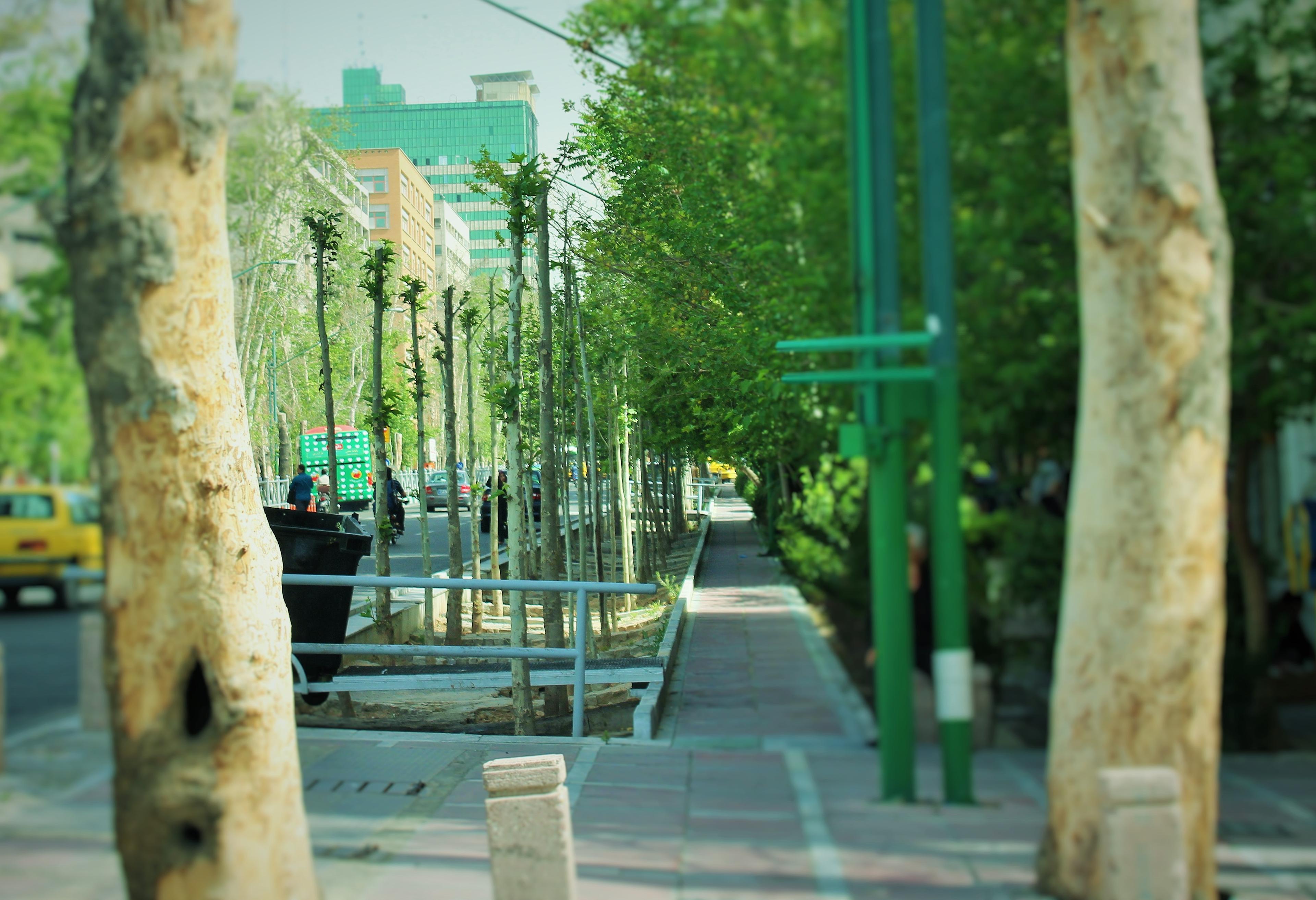 Cover image of this place valiasr street|خيابان وليعصر