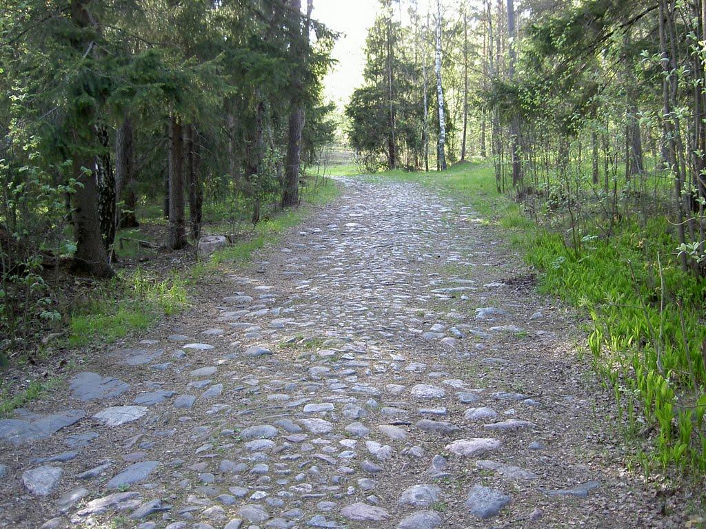 Cover image of this place Mäkkylän Tykkitie