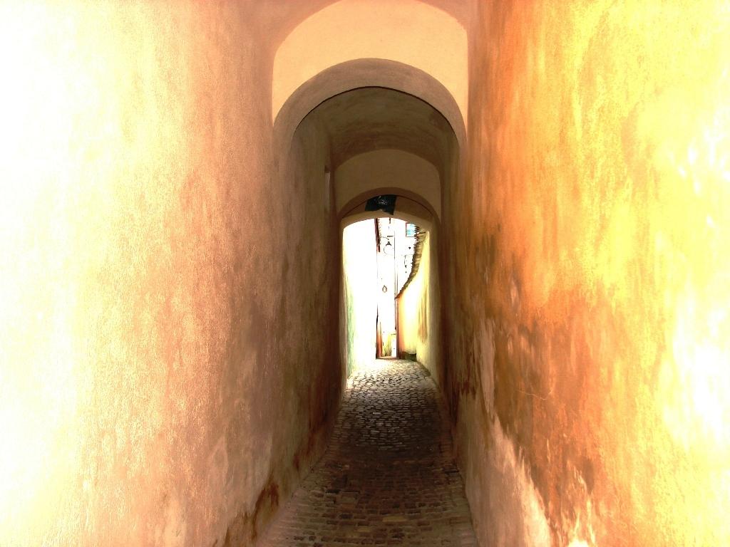 Cover image of this place The Rope Street