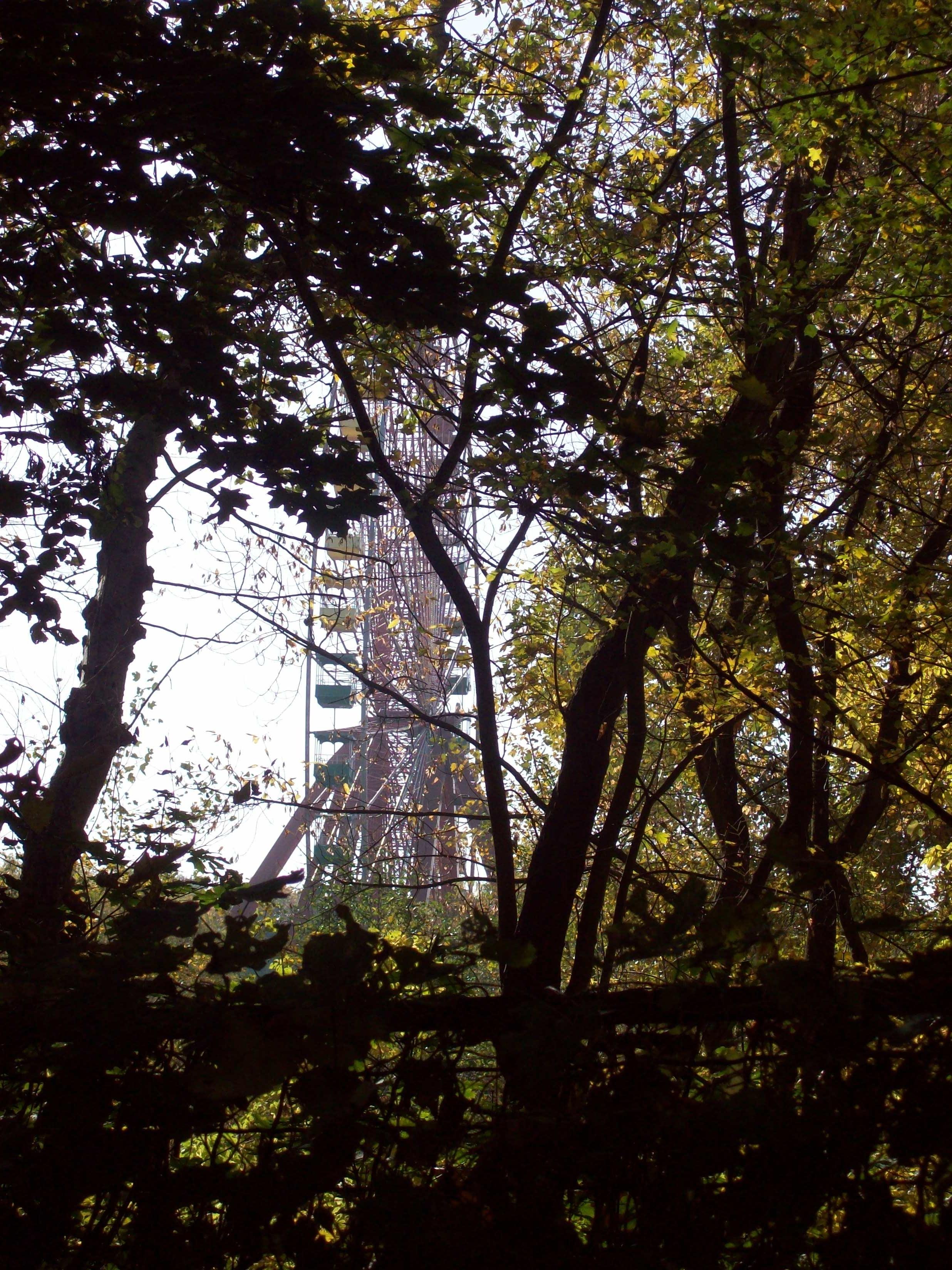 Cover image of this place Spreepark Berlin / Kulturpark Plänterwald