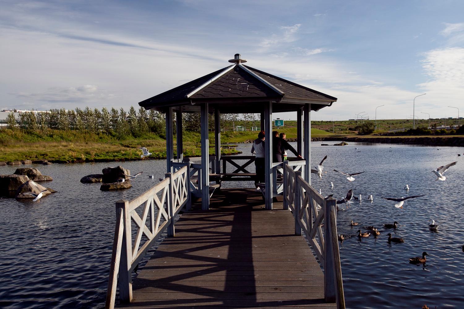 Cover image of this place Kópavogsdalur