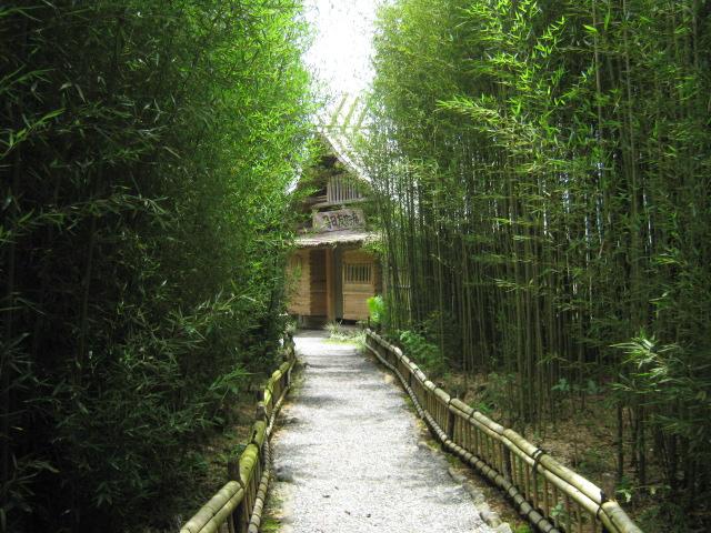 Cover image of this place Lankester Botanical Gardens