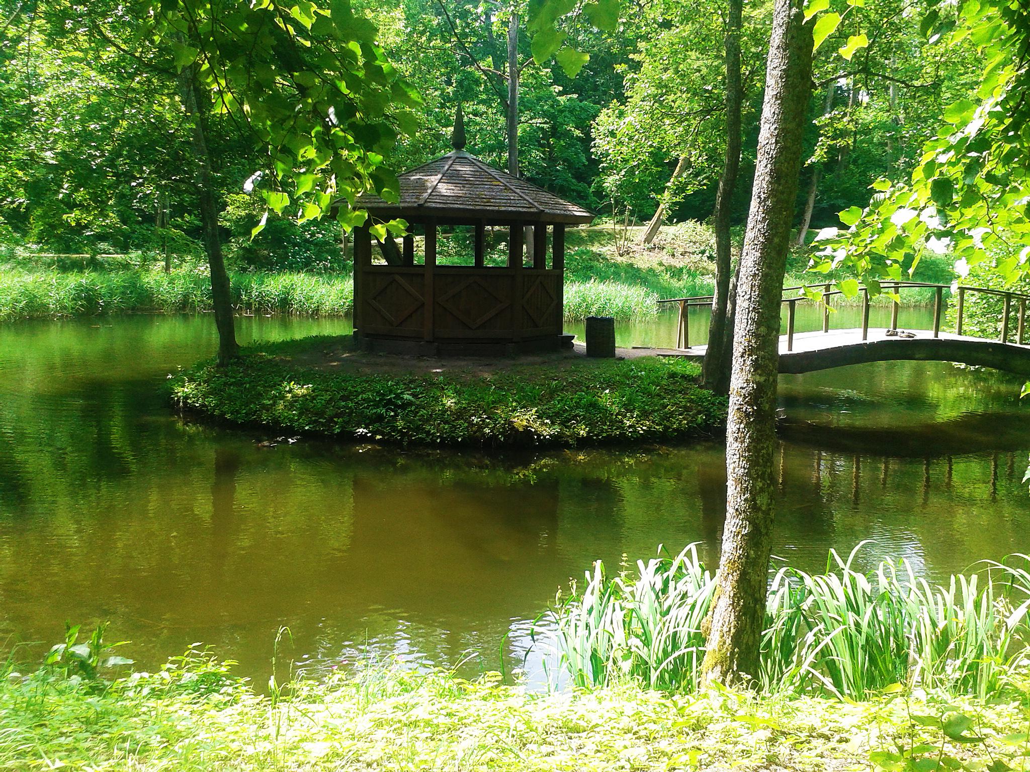 Cover image of this place Vilniaus universiteto botanikos sodas | Vilnius University Botanical Garden