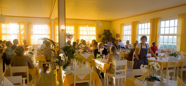 Cover image of this place Svinkløv Badehotel