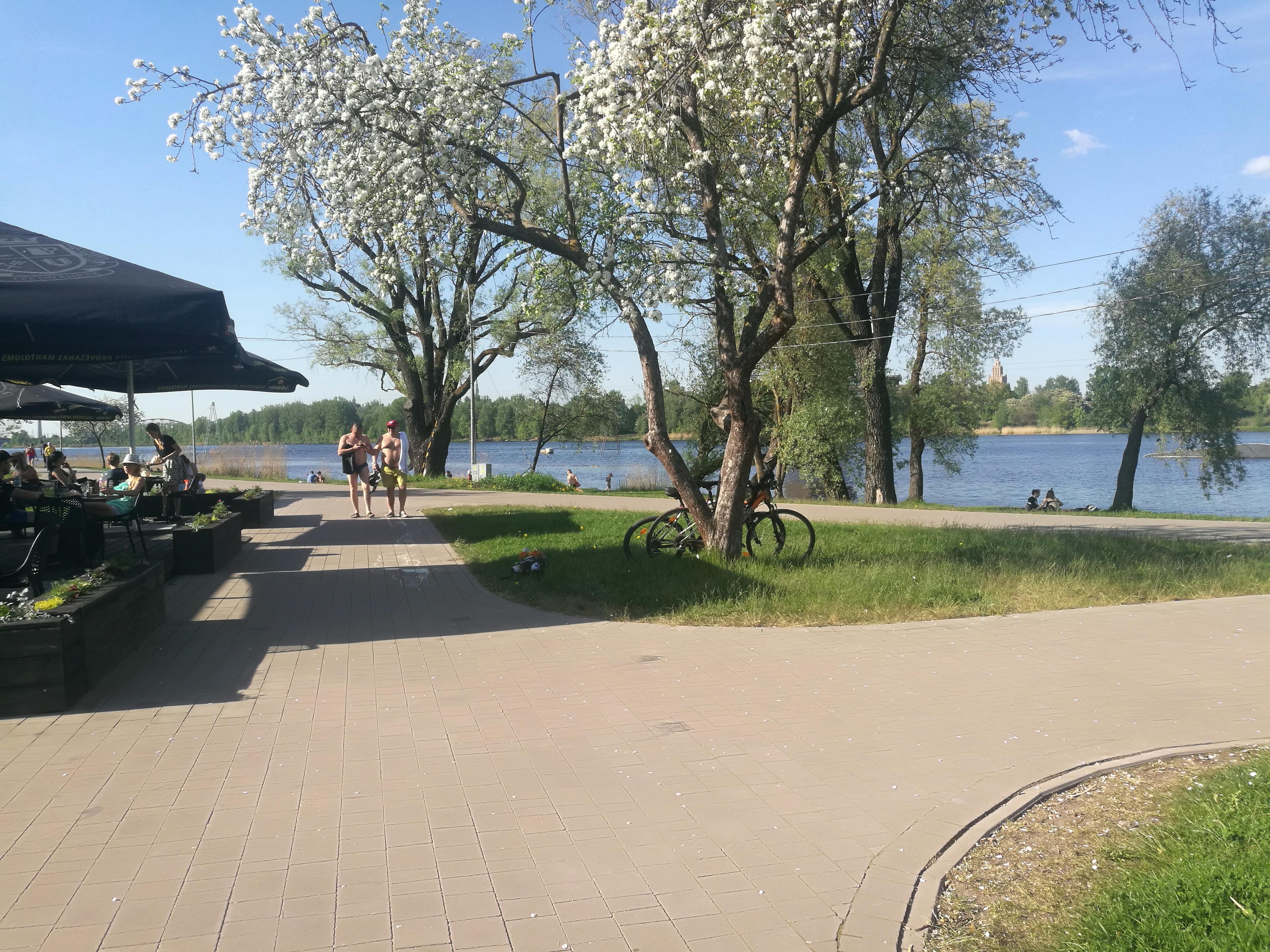 Cover image of this place Lucavsalas parks