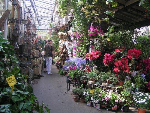Cover image of this place Marché aux Fleurs