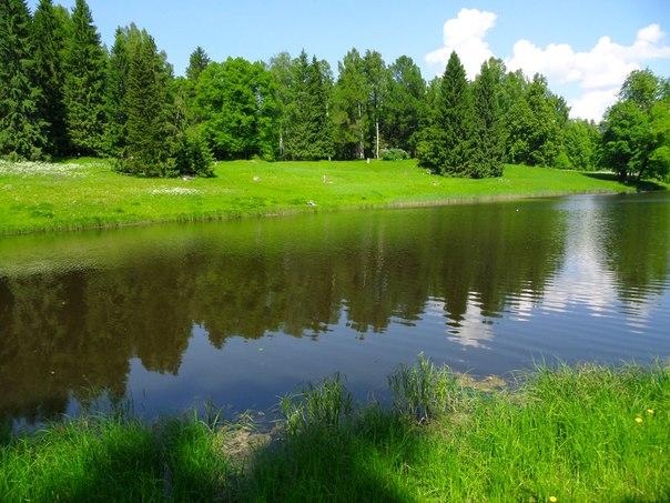 Cover image of this place Павловск / Pavlovsk