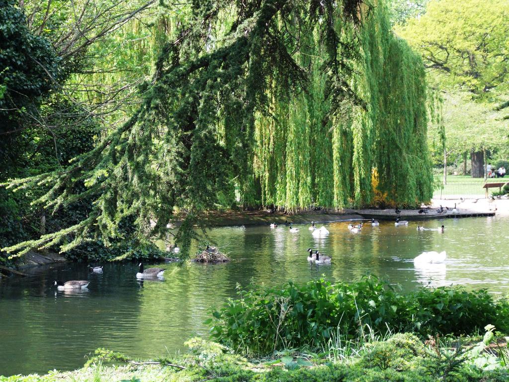 Cover image of this place Ravenscourt Park