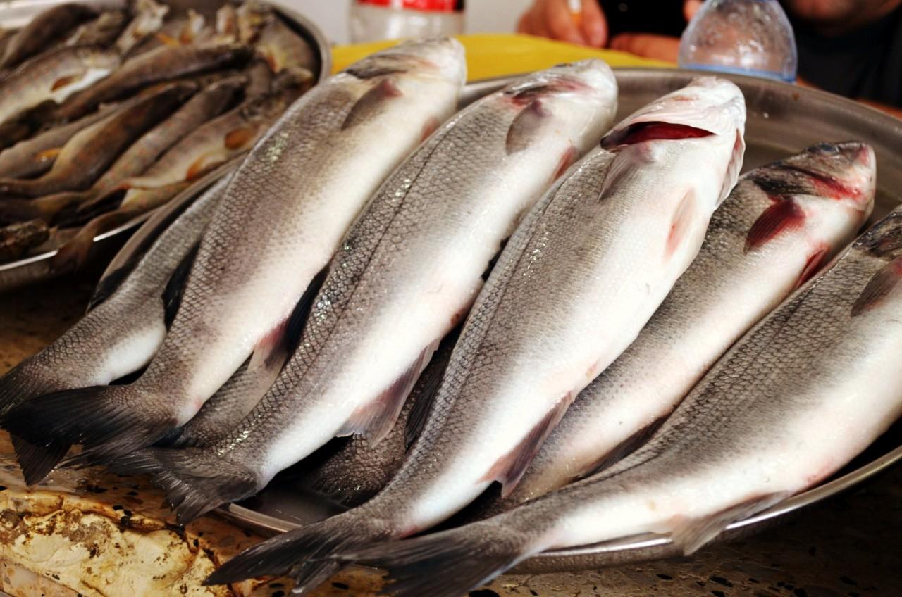 Cover image of this place Batumi Fish Market
