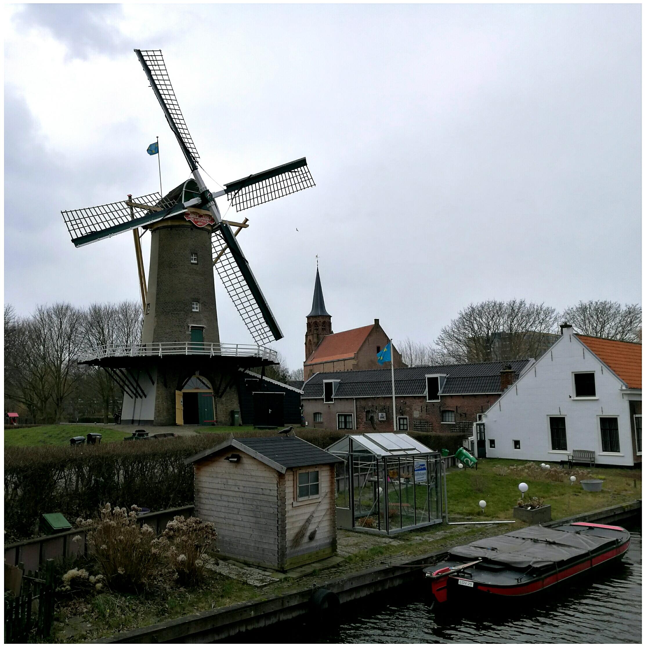 Cover image of this place Molen de Korenaer