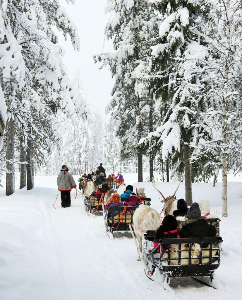 Cover image of this place Jaakkola's Reindeer Ranch