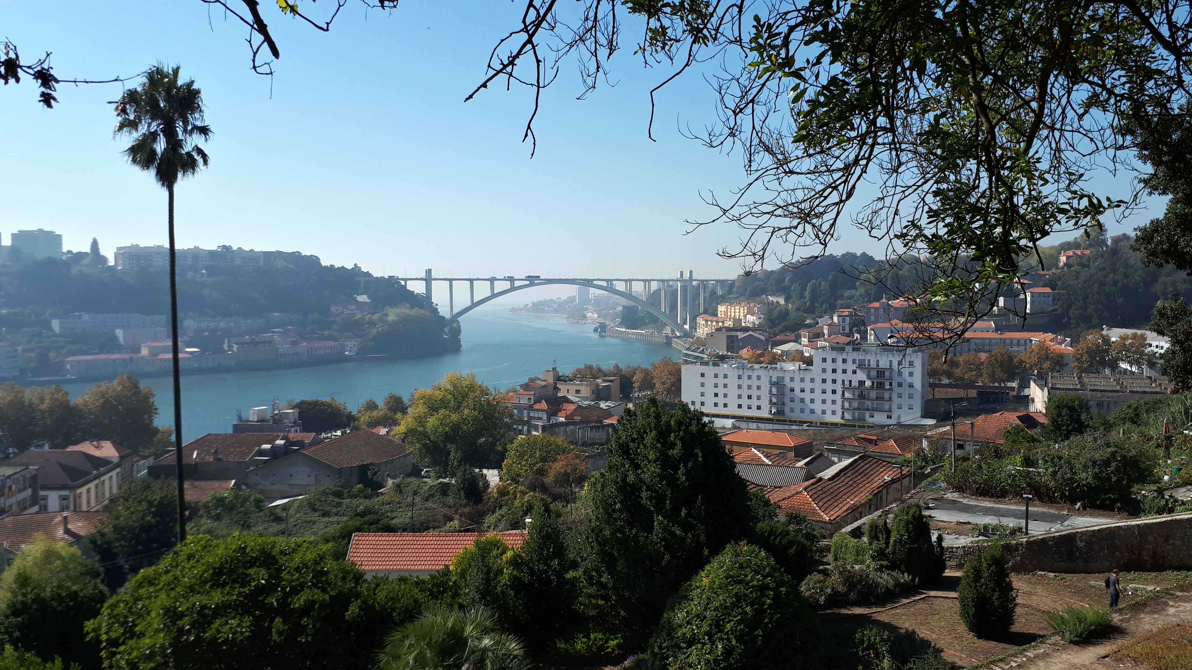 Cover image of this place Jardins do Palácio de Cristal