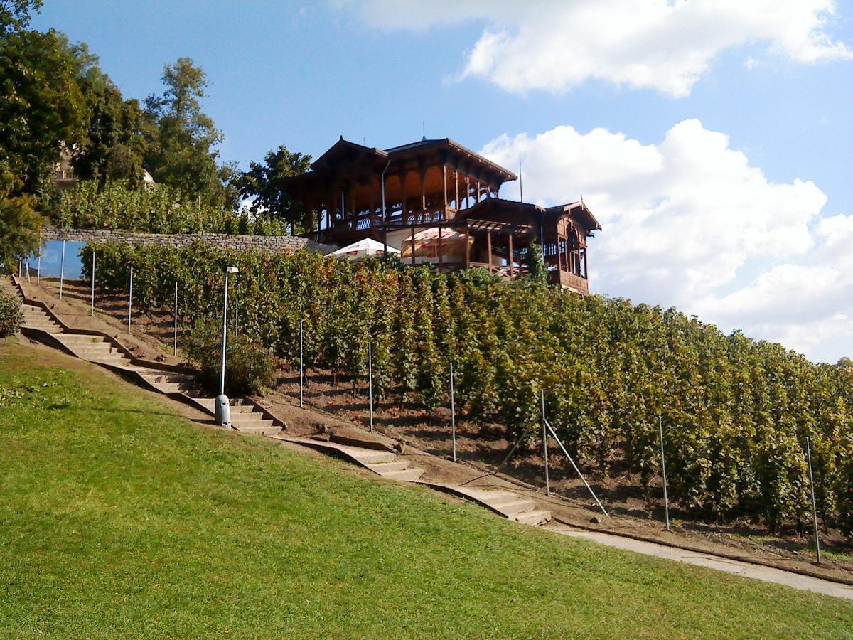 Cover image of this place Havlíčkovy sady