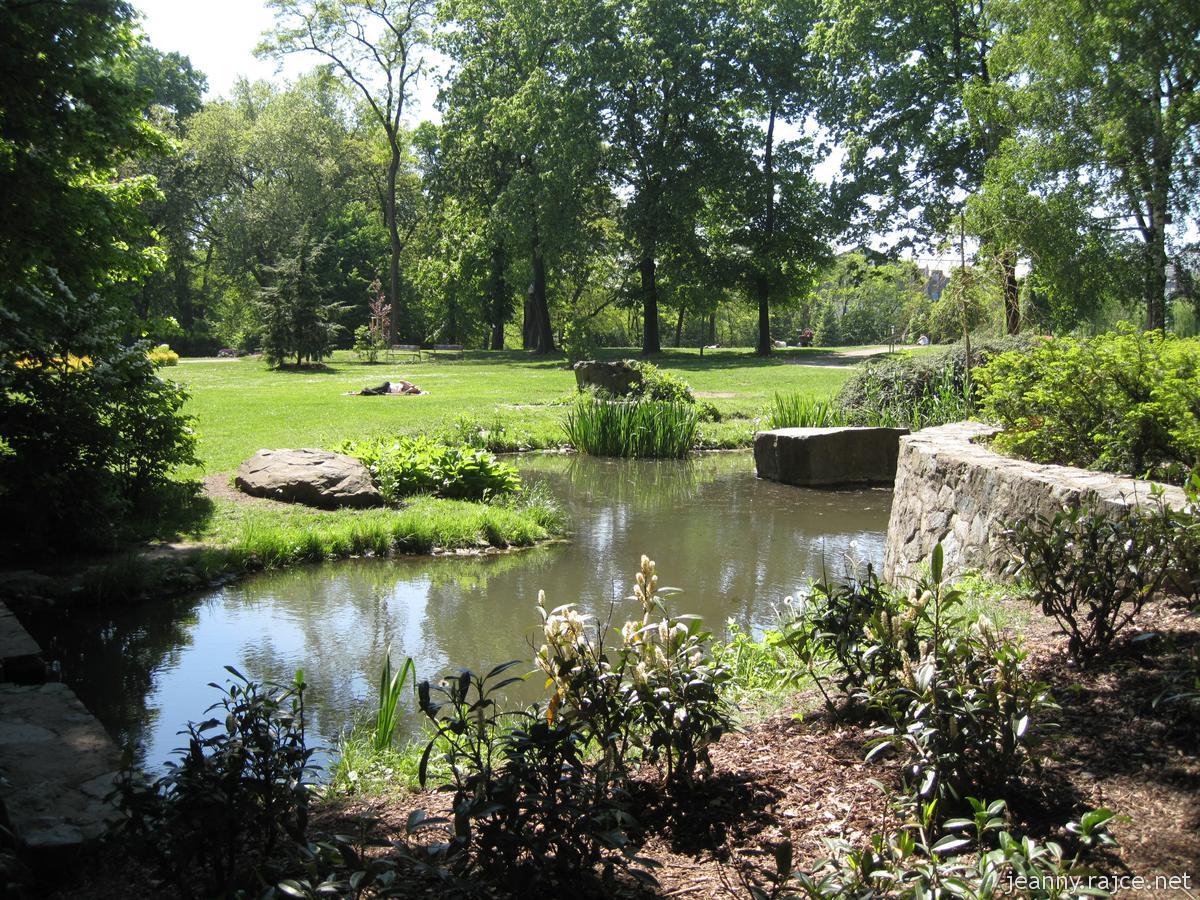 Cover image of this place Park Podviní