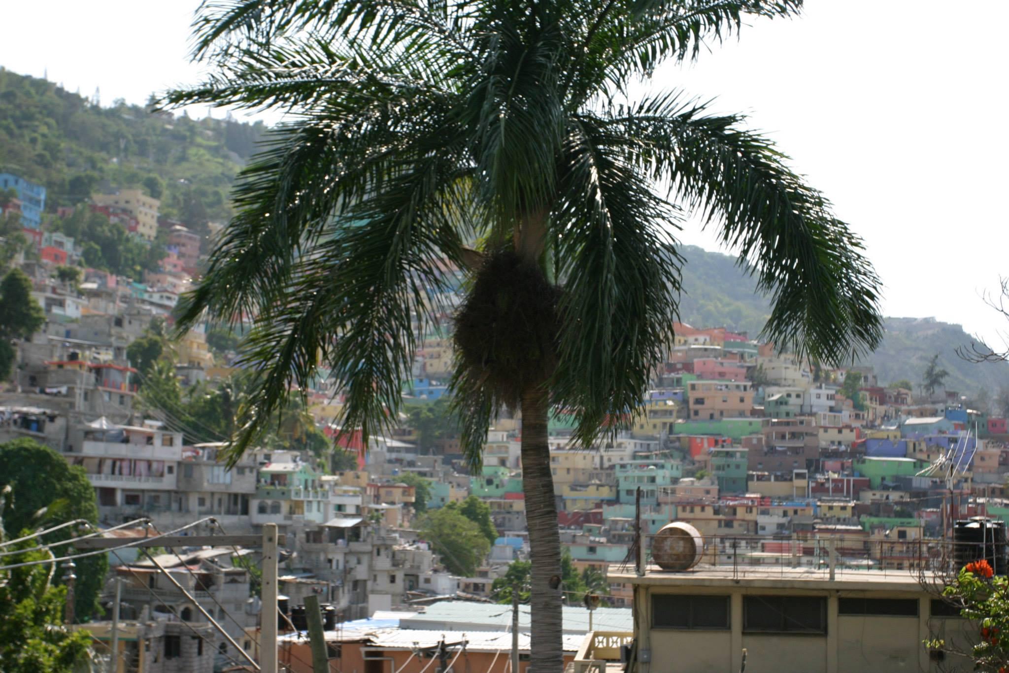 Cover image of this place Quartier Jalousie