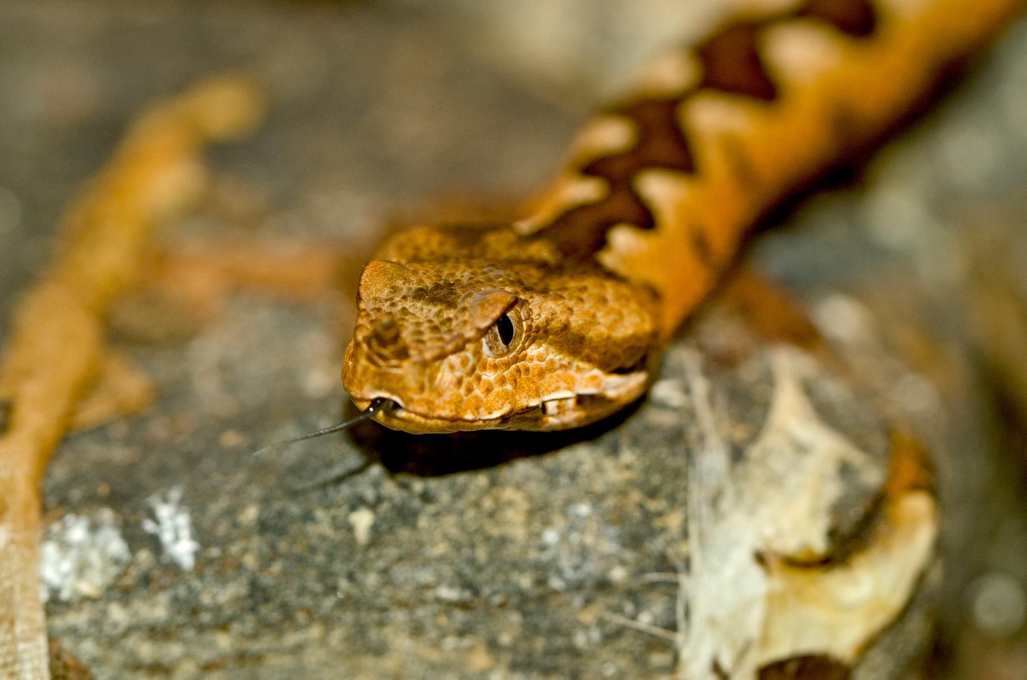 Cover image of this place Mini Zoo