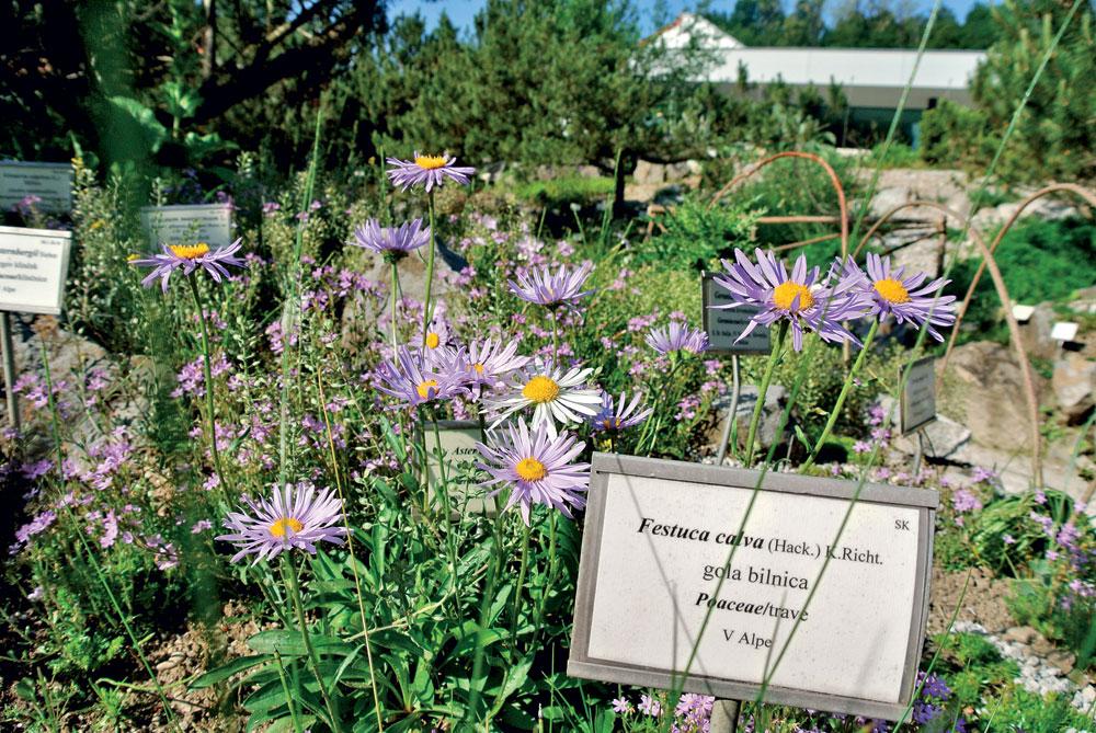 Cover image of this place Botanic Garden / Botanični vrt