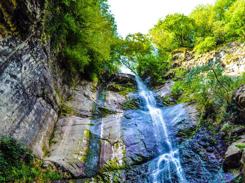Cover image of this place Makhuntseti Waterfall | მახუნცეთის ჩანჩქერი