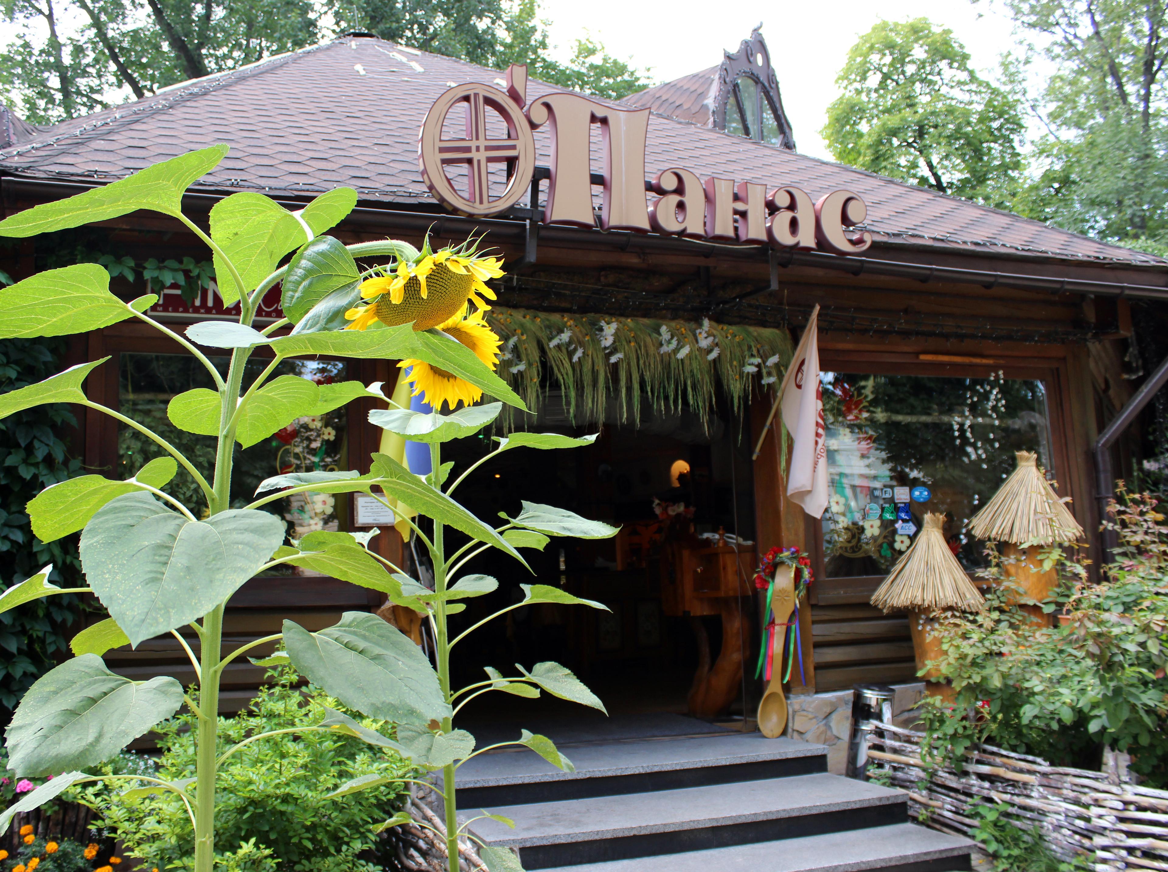 Cover image of this place O'Panas