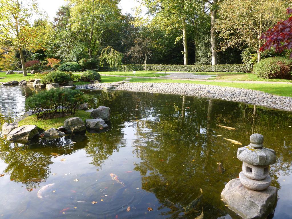 Cover image of this place Kyoto Garden