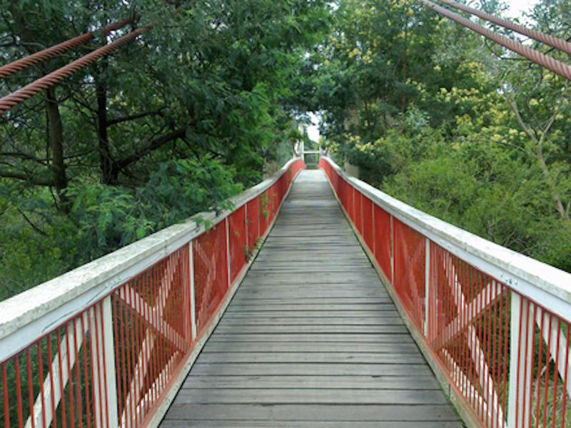 Cover image of this place Studley Park