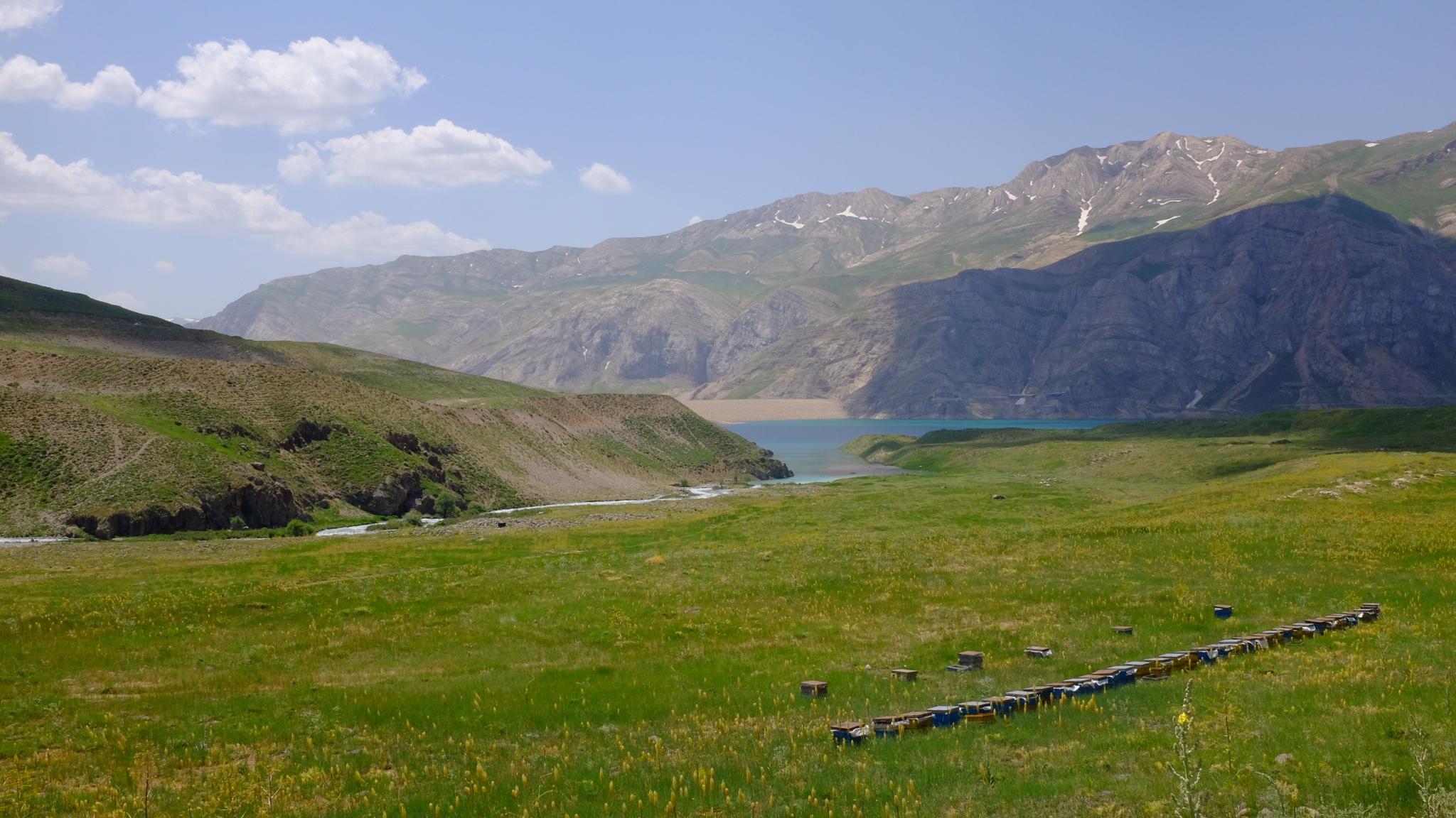 Cover image of this place Lar National Park