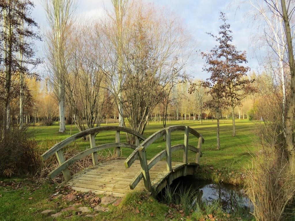 Cover image of this place Parque La Candamia