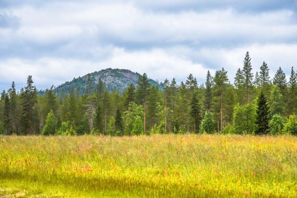 Cover image of this place Sattasvaara Hill