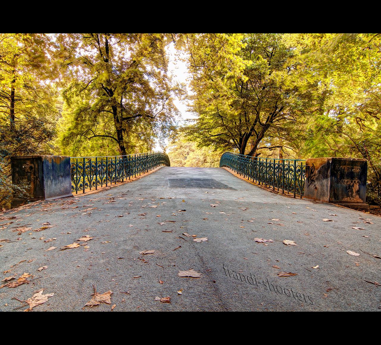 Cover image of this place Georgengarten