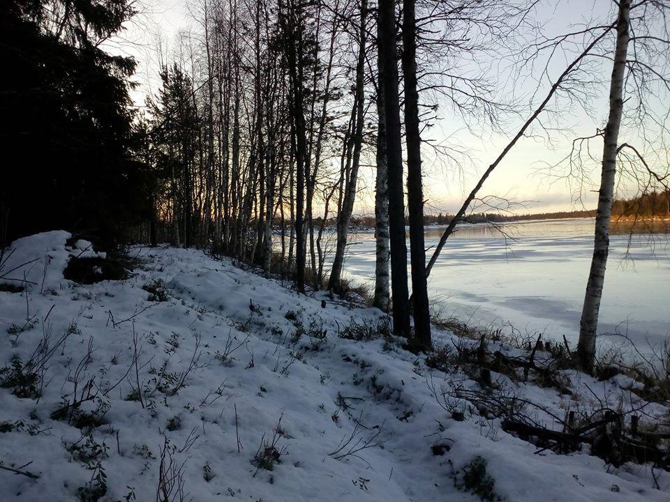 Cover image of this place Kolarinsaari's Nature trails/ 1.5 - 3.5 km