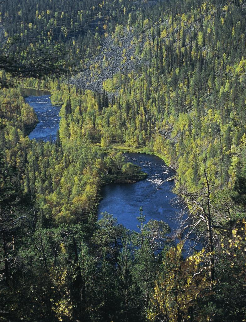 Cover image of this place Nuortti's Canyon