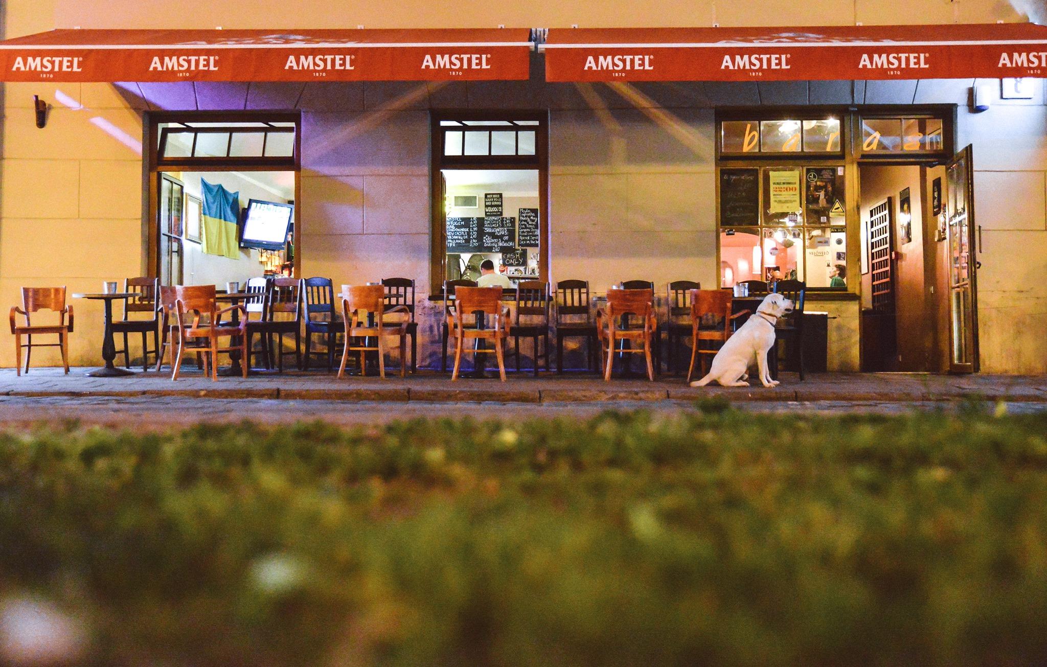 Cover image of this place Tappo D'oro