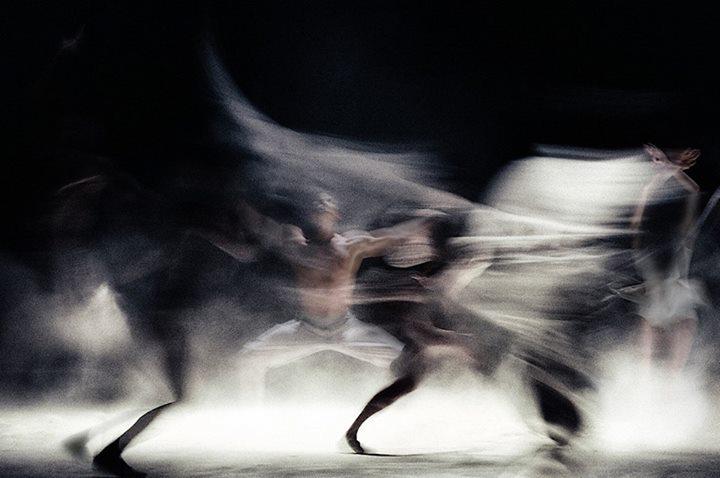 Cover image of this place Nederlands Dans Theater
