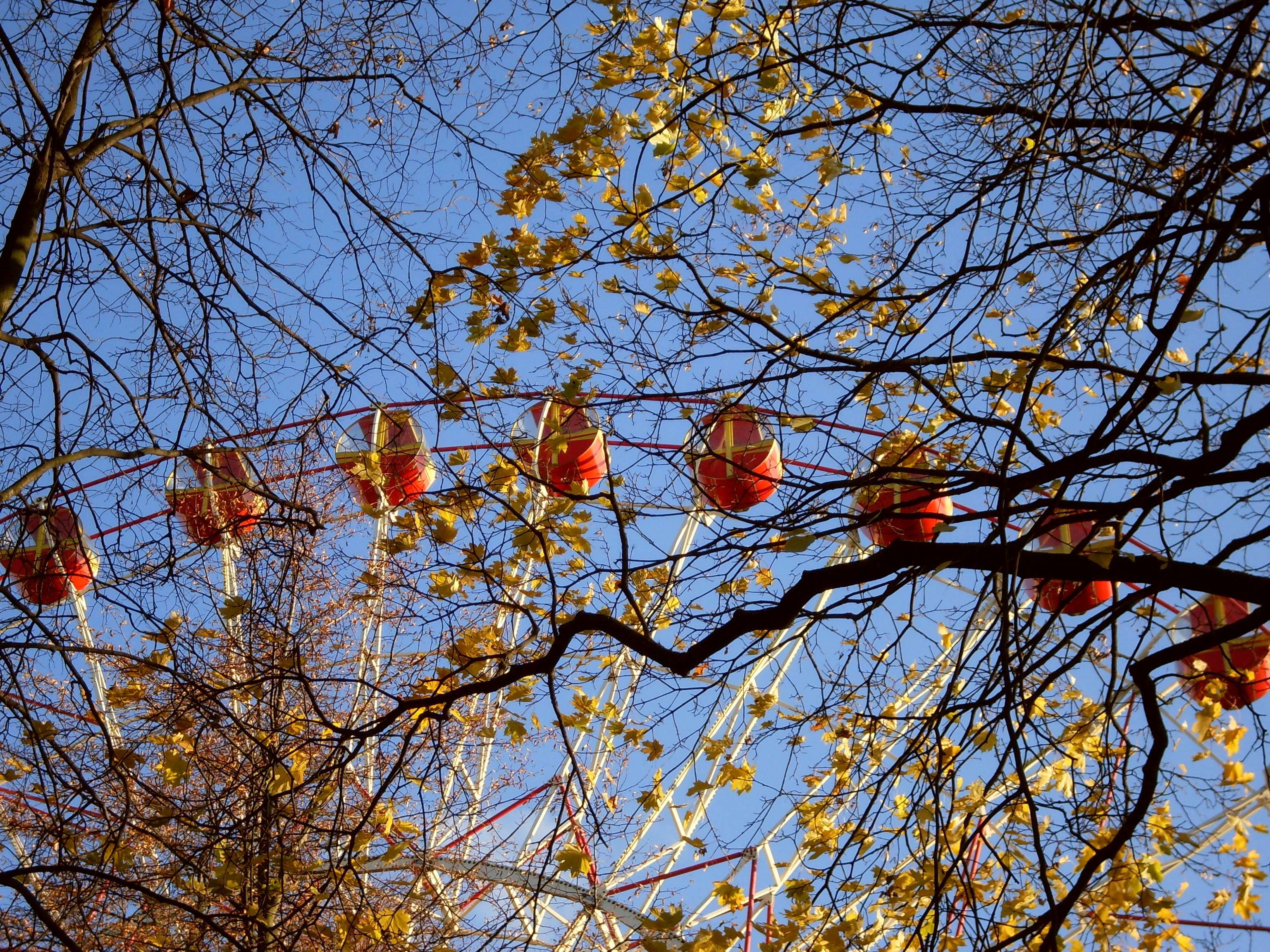 Cover image of this place Gorkiy Park (Парк Горкага)
