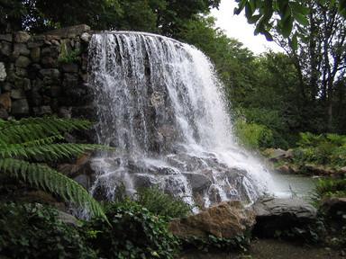 Cover image of this place Iveagh Gardens